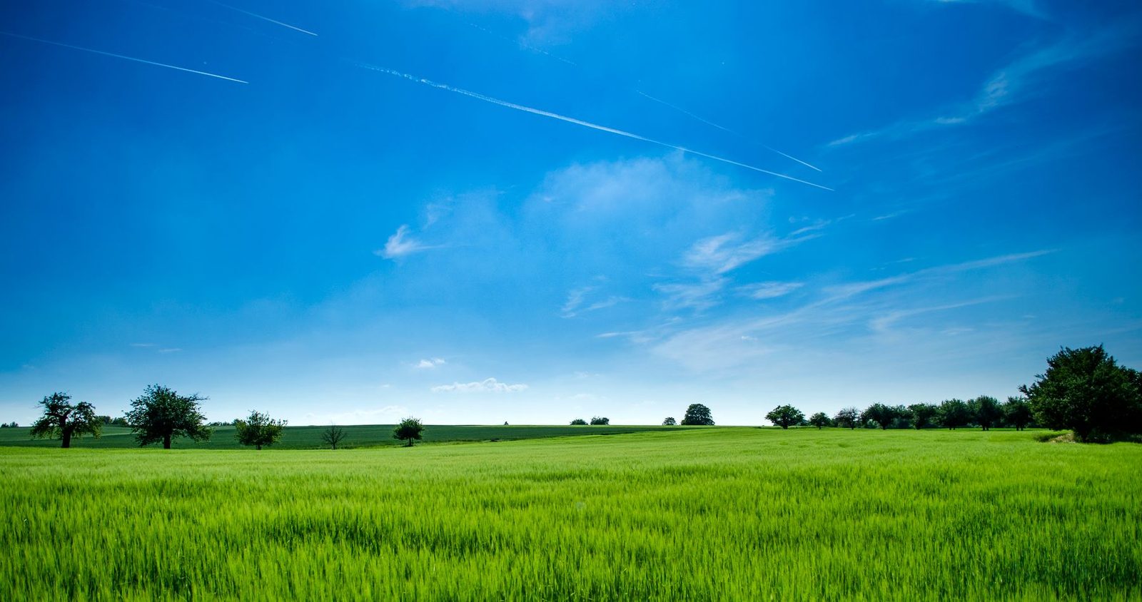Open field ready for land development